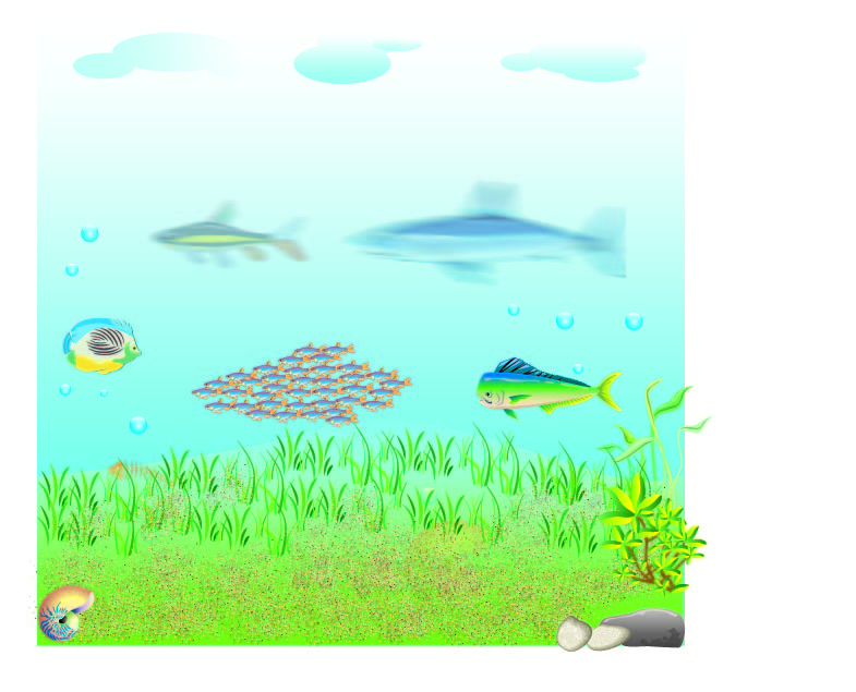 일러스트 수족관 작업